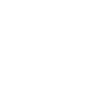zaion